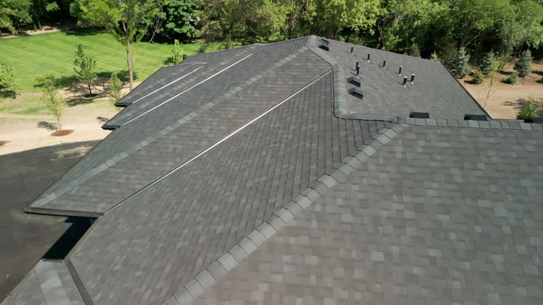 Best Rubber Roofing (EPDM, TPO)  in Oakwood Hls, IL