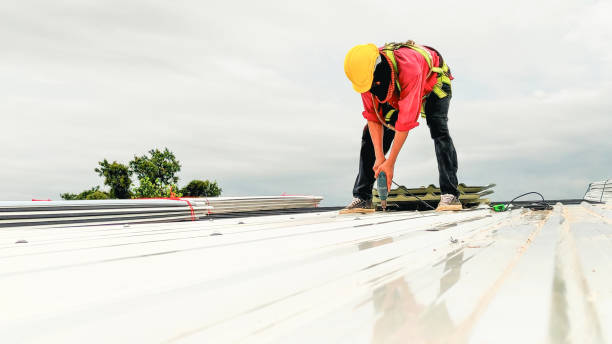 Best Asphalt Shingles Roofing  in Oakwood Hls, IL