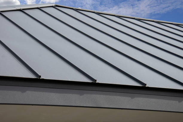 Best Roof Coating and Sealing  in Oakwood Hls, IL