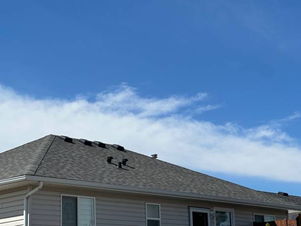 Best Metal Roofing Installation  in Oakwood Hls, IL