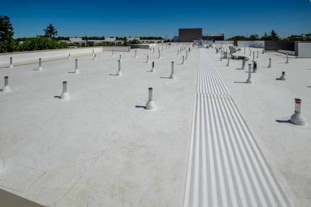 Best Sheet Metal Roofing  in Oakwood Hls, IL